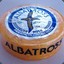 Albatross&lt;3