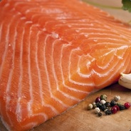 Salmon