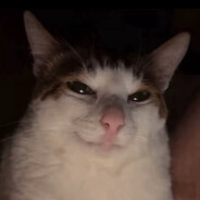 terri.DIK