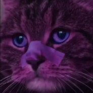 K4au - steam id 76561199011108876