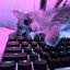 LaskaMEOW