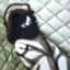 lifelover