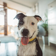 𝓓𝓲𝓻𝓽𝔂 Piątulo