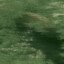 Ascet's avatar