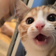 学习量子力学通常要用到比喻的修辞手法