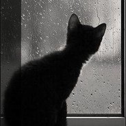 代数本一只小萌德~