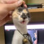 Топовый ведун's avatar
