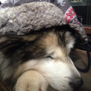 hat