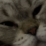 Mert avatar