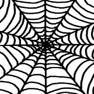 🕷️ SPIDER | BOT ⮀ 24/7