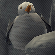 #1 Seagull Hater