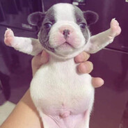 ♥ Wash my belly ♥