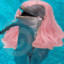 Belle Dolphin
