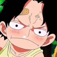 纣王只爱妲己吧