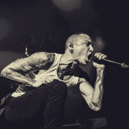 V1K - steam id 76561198281379077