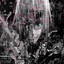 人克zxc demon 5-4 pos or feed