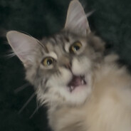 koT