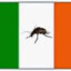 Irish Cockroach