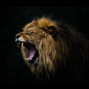 𝖡 𝖮 𝖱 𝖹 𝖹