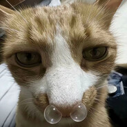 我有两颗搞丸！