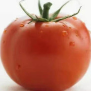 吃番茄长大的西红柿