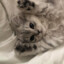 Наркотик