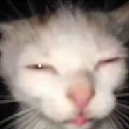 哈基米南北绿豆