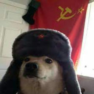 CãoMunista