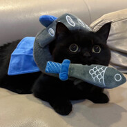 晚风替我去爱你