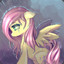 FluttershyLinuxMint