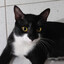 Berguinho