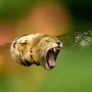 kassi - steam id 76561199487234248