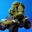 Masterchief In Da Cart