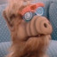 Alf