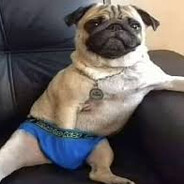 начанающс стримл