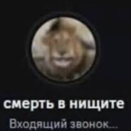 badi - steam id 76561199477743837