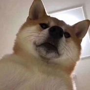 信佛、所以不杀人