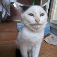 Milton's avatar