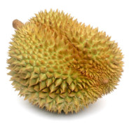 Magic durian