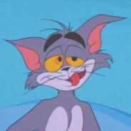 猫和老鼠丶假老练