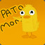 Pato Momo