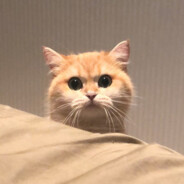 Second elder brother