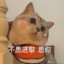 淘宝喵喵铺子