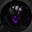 BlackFox