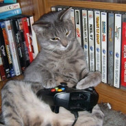 橘海拥落日，爱河怀晚风