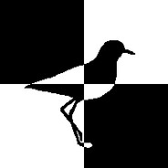 strong bird