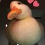 mealky_