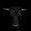 - RnZaye's avatar