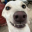 Mooze's avatar