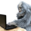EVILBigfoot with a Wifi C\